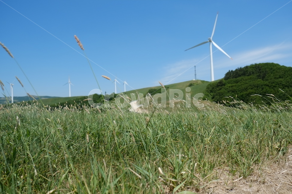 들풀,풍력발전기,windgenerator,motor,풍력터빈