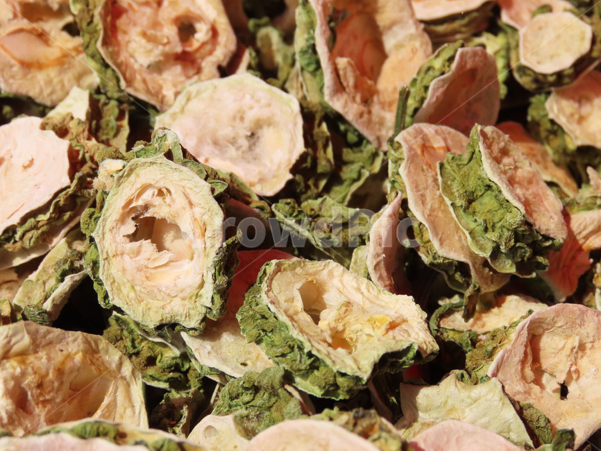 여주,balsamapple,식물,plant,덩굴식물,식용,박과,농작물,농산물,열매,식재료,먹거리,food,음식,식재료,요리,food,cook,meal,dishes,food reserves