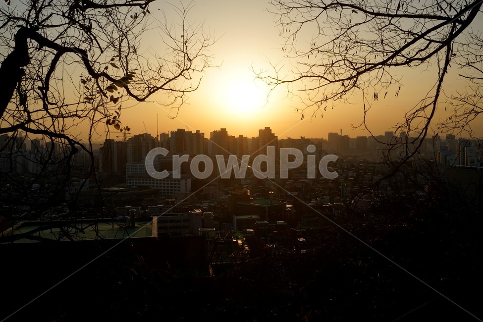 가을,계절,석양,서쪽하늘,나무,햇빛,자연,nature,sunset,sky,west,trees,season,sun,도시,풍경,city,landscape,한국도시풍경,한국도시경관,korea cityscape,light,빛,flare,플레어,outdoors,옥외,sunlight