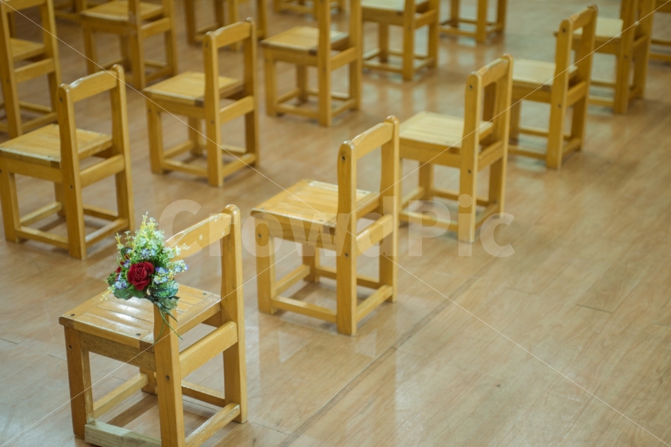 의자,졸업,꽃,일정한,규칙적인,배열,장미,나무의자,chair,woodenchair,flower,rose,graduation,constant,regular,식물,자연,plants,nature,꽃,flower,기념일,축하,anniversary,congratulation,celebrate,celebration,사물,물건,오브젝트,thing,object,matter,교육,학교,공부,education,learning,study,school
