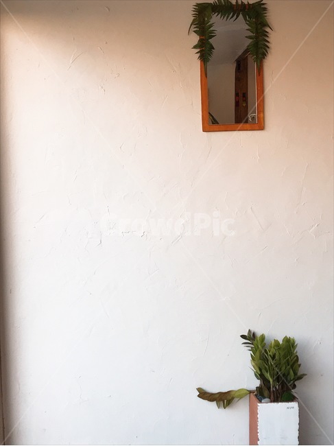 화분,인테리어,감성,창문,카페,인테리어,실내디자인,interior design