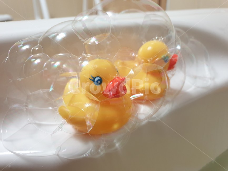 bath,bubbles,ducks,목욕,거품,오리,장난감,bathtoy,bathtub