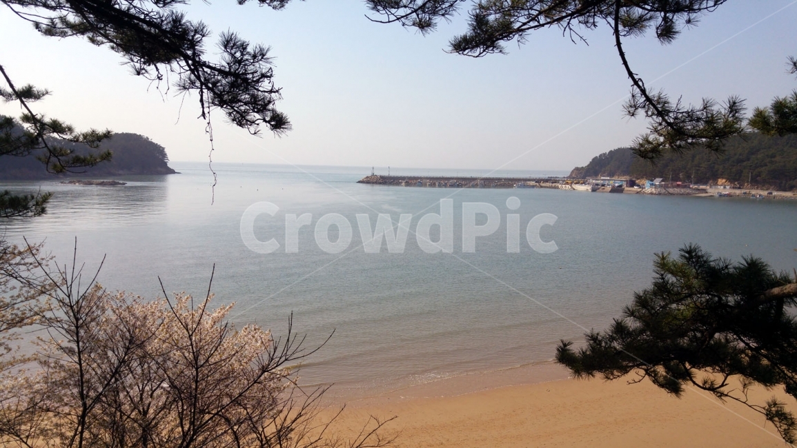 바다,해변,바닷가,해변가,조용한,자연,풍경,nature,landscape,해변,바다,beach,sea,water,물,outdoors,옥외,land,땅,shoreline,해안선,ocean,대양