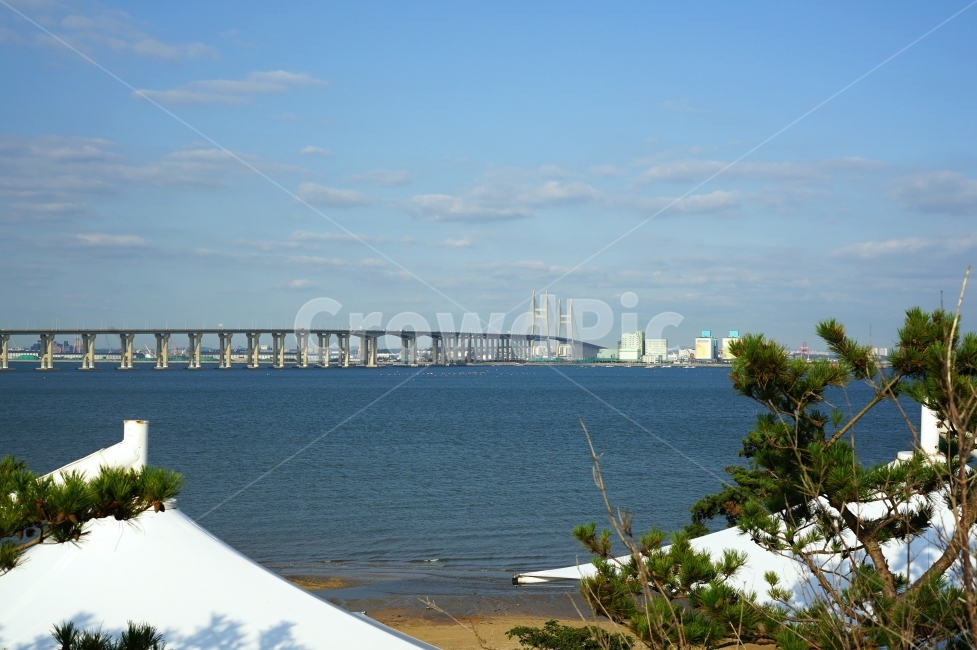 바다,강,다리,대교,소나무,나무,sea,ocean,river,beach,pinetree,pine,바닷가,강가,riverside,bridge,tree,trees,푸른,하늘,sky,sunny,맑은,날씨,weather,여행,trip,travel,travelling,풍경,배경,배경사진,풍경사진,평화로운,분위기,차분한,차분함,평화로움,scene,atmosphere,calm,peaceful,tranquil,still,background,journey,tour,structure,배경화면,cloud,구름,shiny,화창한,quiet,active,감성사진,ambience,도시,풍경,city,landscape,water,물,nature,자연,outdoors,옥외