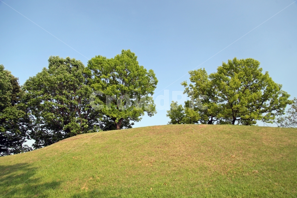 landscape,풍경,봄,spring,자연,생동감,fresh,nature,나무,wood,하늘,sky,감성,숲,forest,자연,풍경,nature,landscape,field,들,grassland,목초지,outdoors,옥외,mound,투수판