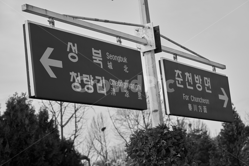 흑백,경춘선,철도,기차,간판,이정표,sign,post,railway