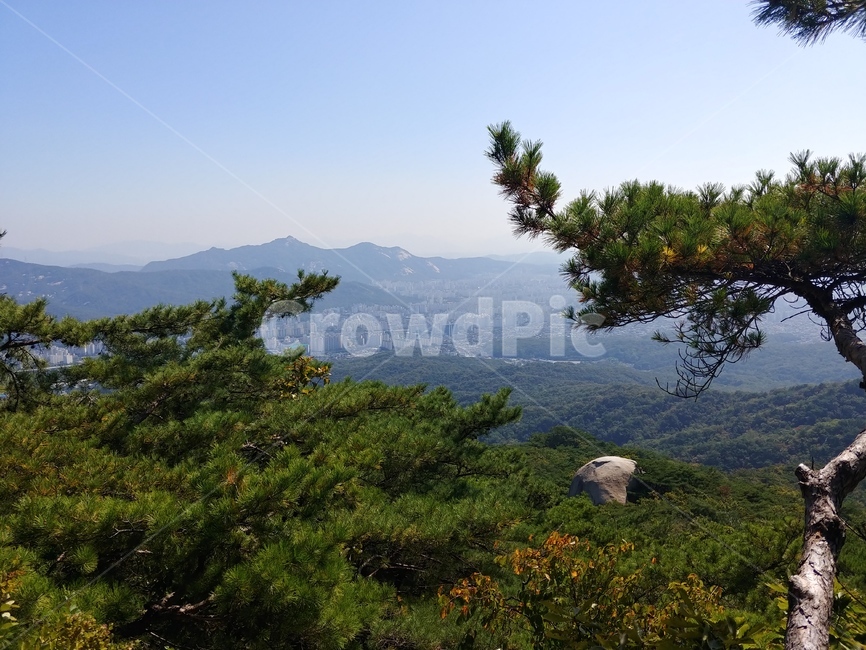 도봉산,산,자연,산위,등산,소나무