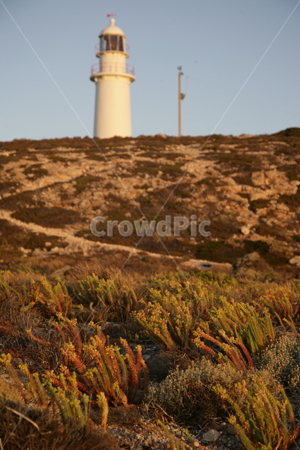 beacon,architecture,lighthouse,등대,탑,tower,등대,lighthouse