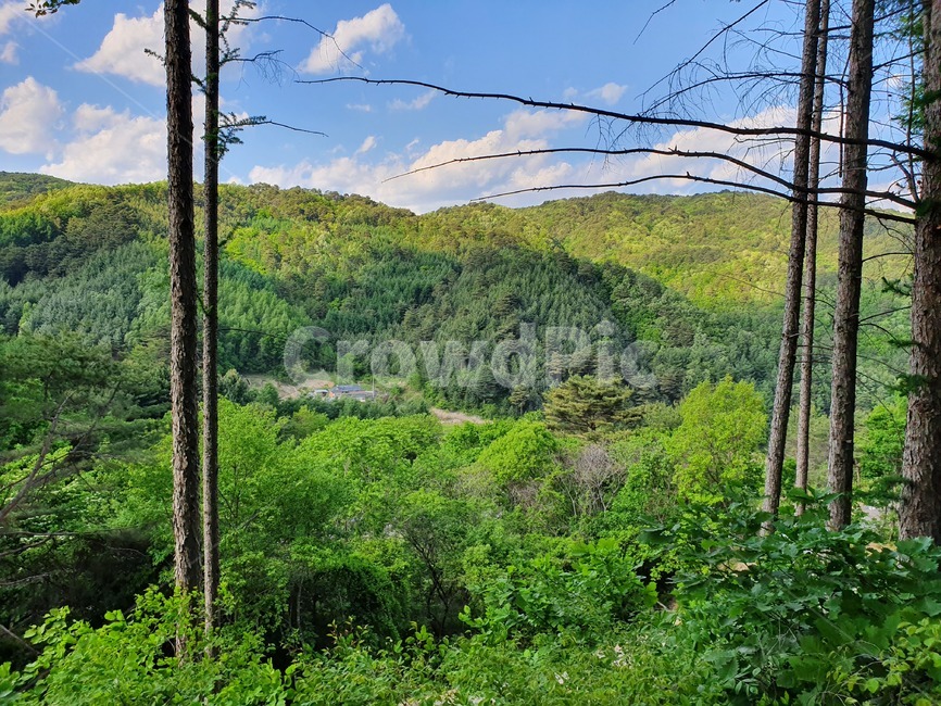 산,하늘,나무,풍경,자연,sky,mountain,landscape,scenery,scene,view