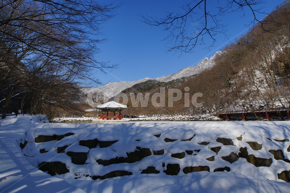 내장산설경,우화정,설경,국립공원,정읍,푸른하늘,겨울,눈,겨울,계절,winter,season,자연,풍경,nature,landscape,한국자연풍경,한국자연경관,korea nature landscape,outdoors,옥외