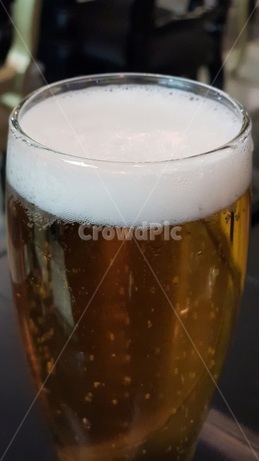 맥주,라거,맛있는,시원한,황금빛,목넘김이좋은,술,수제맥주,맥주거품,호프,치킨이랑잘어울리는,술,주류,alcohol