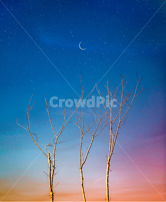 별,달,감성사진,배경화면,감성,야경,밤,풍경,nightscape,night,landscape,색깔,색상,색채,색감,color sense,color sensitivity,feeling of color,nature,자연,outdoors,옥외