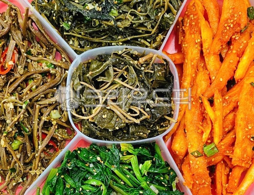 seasoning,spinach,seasoned,Stirfried fern,rice side dish,side dish,rice thief,First full moon food,balloon flower,Assorted vegetables,ingredients,cooking,Stirfried vegetables,Herbs,full moon,Full moon of the first lunar month,cook,Bracken,Chwinamul,food,m