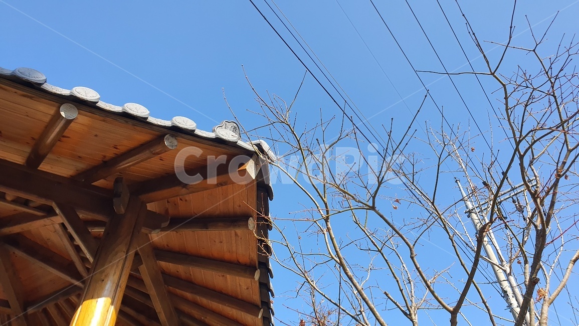 정자,가옥,나무,하늘,맑은하늘,맑은,tree,전깃줄,파랑,나무색