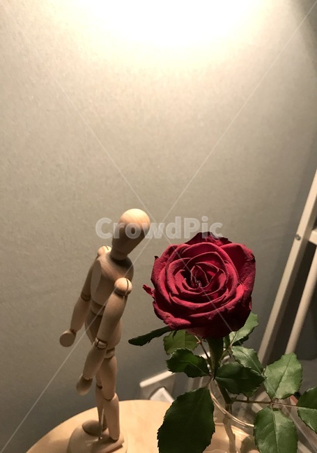 장미,레드장미,이케아,나무조각,생각,꽃,flower,실내용화초,화분,화초,house plant,조각상,동상,석상,조형물,statue,bronze statue,stone statue,인테리어,실내디자인,interior design