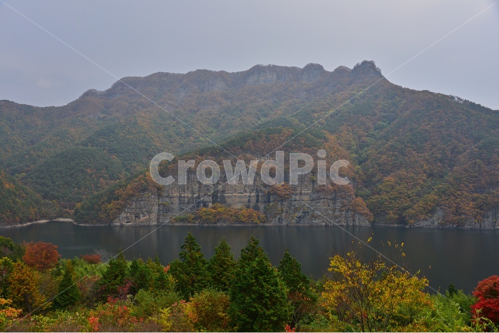 tree,나무,plant,식물,leaf,잎,maple,단풍,화순,적벽,화순적벽,적벽가을,계절,추색,만추,가을,nature,자연,outdoors,옥외,물,강