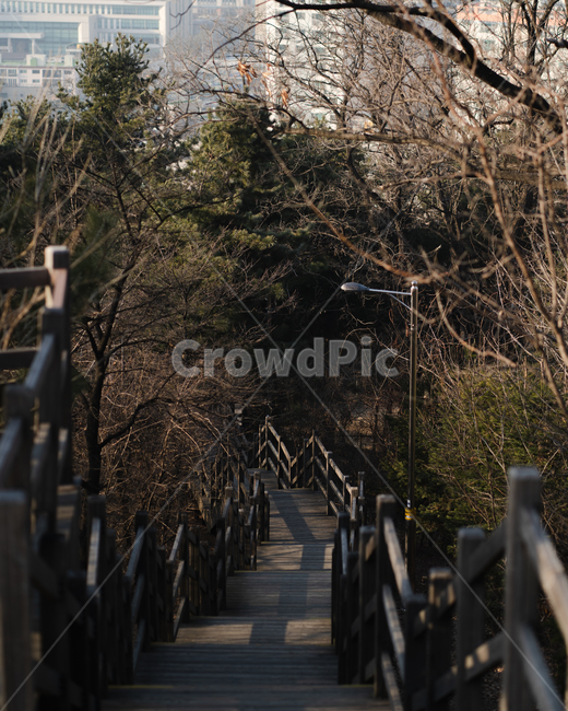 banister,handrail,난간,railing,boardwalk,산책로,bridge,다리,계단,등산로