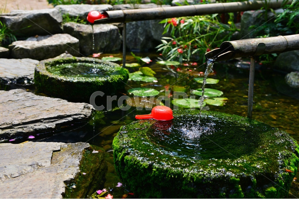 nature,자연,물,water,outdoors,옥외,plant,식물,flagstone,판석,돌다리,학독,돌학독,대나무,물흐름,식수,바가지,프라스틱,프라스틱바가지