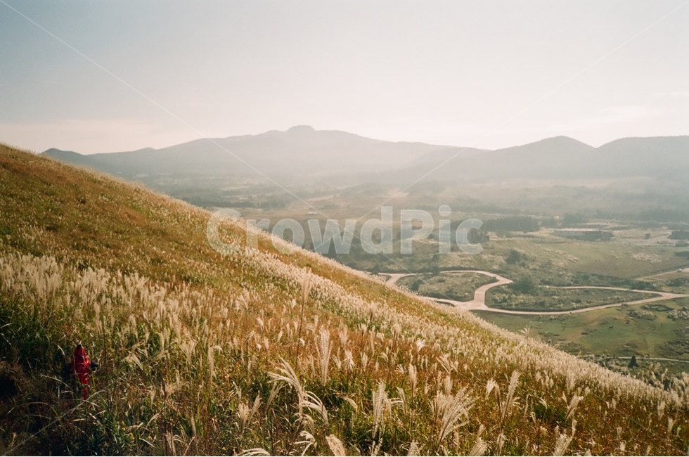 제주,오름,새별오름,하늘,풍경,필카,필름카메라,자연,풍경,nature,landscape,한국자연풍경,한국자연경관,korea nature landscape,제주도,jeju,jeju island,감성,sensible,feeling,grass,잔디,plant,식물