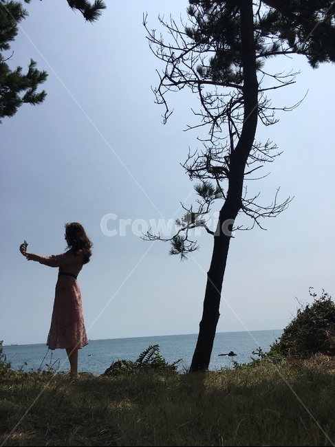 여자,여행,뒷모습,바다,나무,셀카