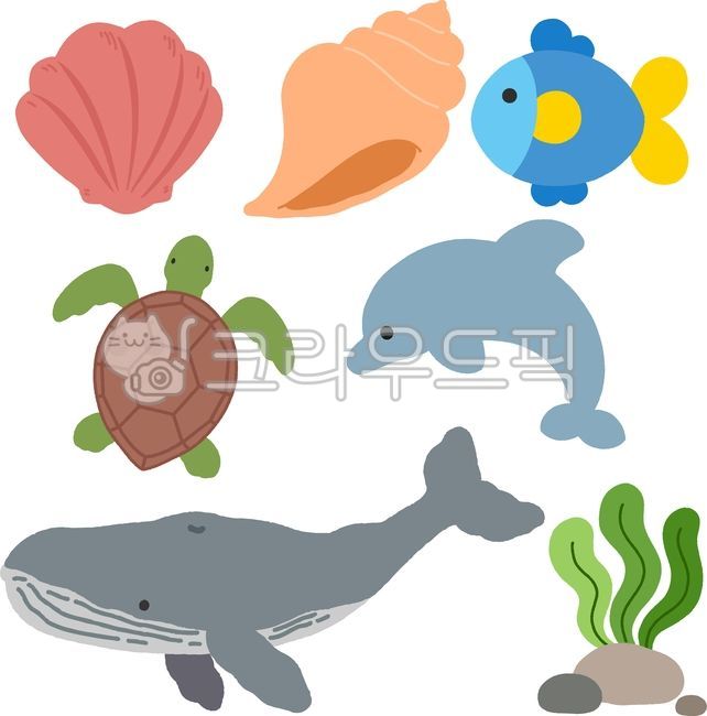 Shells,conches,fish,marine fish,seaweed,sea grass,sea turtles,dolphins,whales,large marine mammals,marine life,marine ecosystem,sea,underwater environment,ocean,aquatic plants