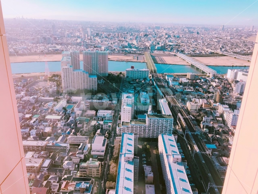 투명엘레베이터,일본,해외,도쿄,전망대,고층,전망,이쁘다,도시,풍경,city,landscape,해외,외국,세계,foreign,oversea,world,nature,자연,outdoors,옥외,경치,scenery