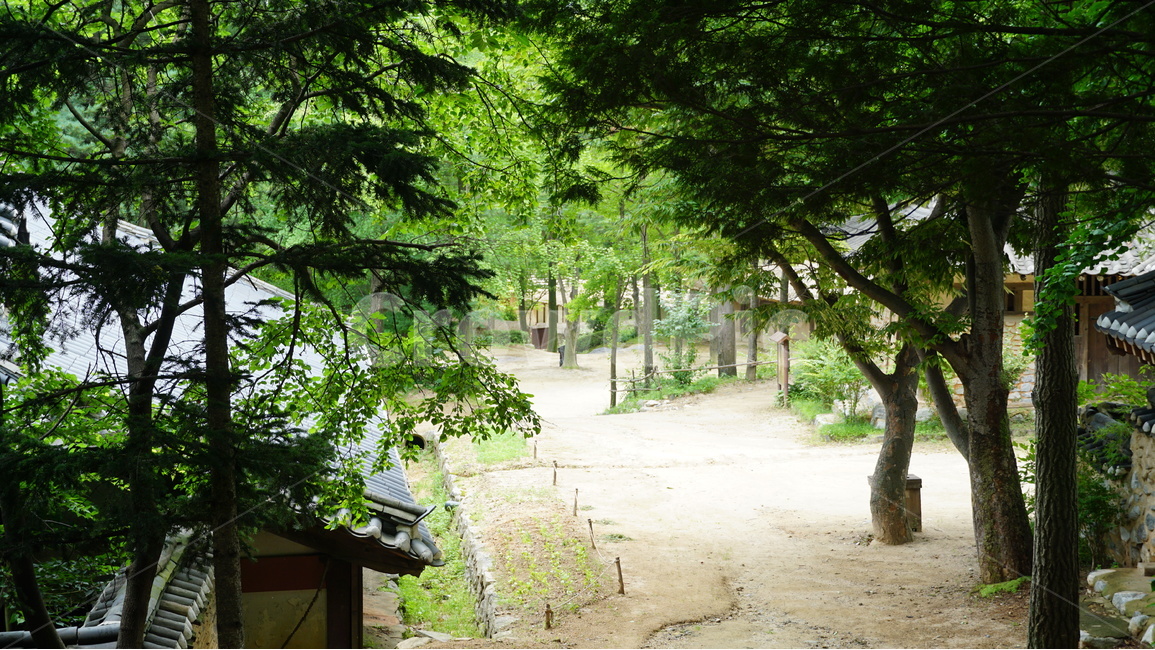 한국,민속촌,집,자연,풍경,자연,풍경,nature,landscape,한국전통,한국문화,korean traditional,korean culture,outdoors,옥외,garden,정원,arbour,정자,plant,식물,tree,나무