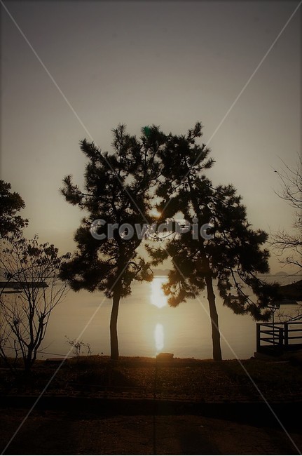 일몰,노을,저녁놀,자연,nature,빛,하늘,감성,구름,나무,바다,모래,모래사장,파도,trees,풍경,자연풍경,식물,자연,plants,nature,나무,trees,wood,실루엣,그림자,silhouette,shadow