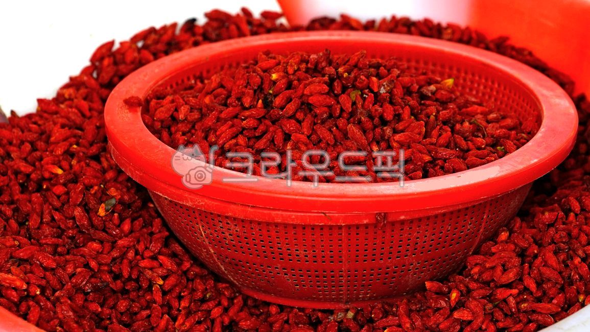 구기자,구기자열매,구기자씨,한약재,약재,goji,고지,gojiberry,wolfberry,열매