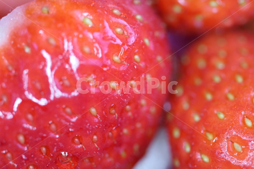딸기,과일,제철과일,12월,겨울,디저트,접사,매크로,음식,음식,식재료,요리,food,cook,meal,dishes,food reserves,채소,야채,vegetables