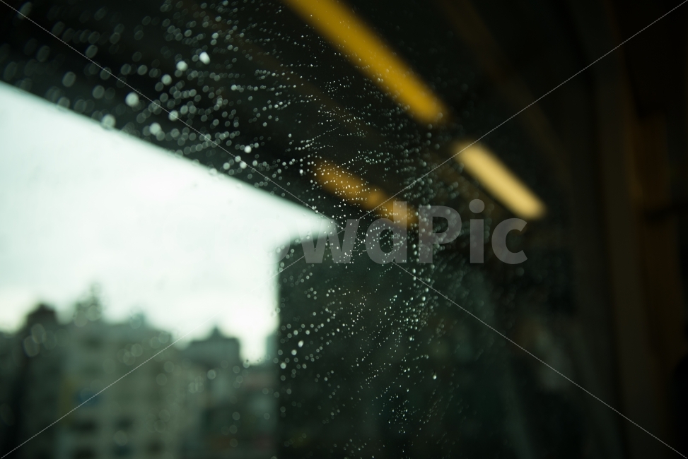 	일상,여행,휴가,비,기차,감성,sensible,feeling,비,비오는날,rain,rainy