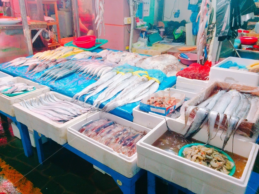 시장,수산시장,생선,마트,마켓,marketplace,해산물,수산물,수산,음식,식재료,수산물,해산물,fishery products,seafood