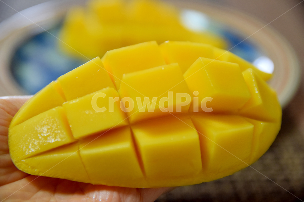 망고,과일,열매,노란과일,노란색,손,달달한,잘익은,식재료,foodmaterial,food,mango,fruit,음식,식재료,요리,food,cook,meal,dishes,food reserves,과일,열매,fruit