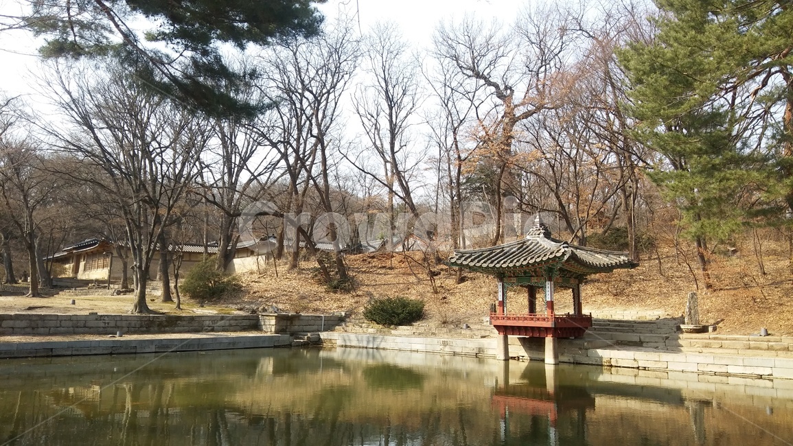 창경궁,한국,고궁,연못,정자,한국전통,한국문화,korean traditional,korean culture,랜드마크,landmark,tourist attraction,한국랜드마크,한국관광지,한국명소,korea landmark,korea tourist attraction