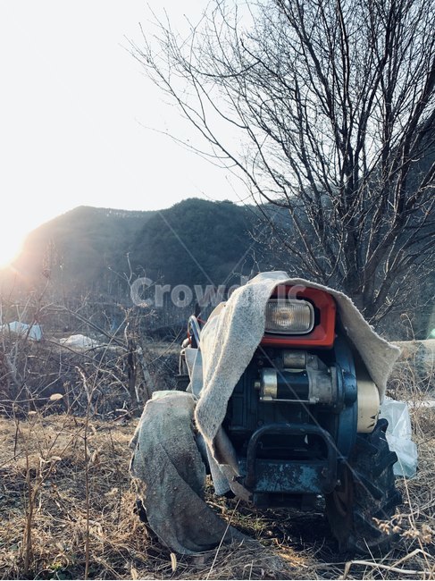countryside,tree,Grandmas house,winter,tiller