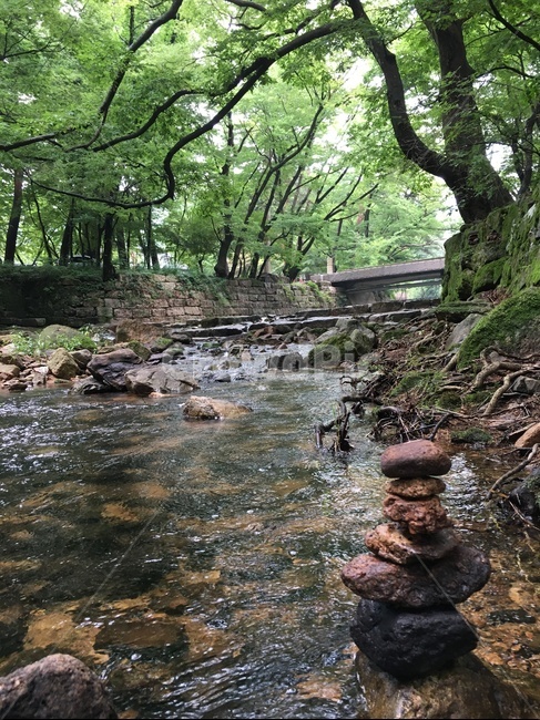 돌,돌쌓기,계곡,자연,돌담,강가,숲