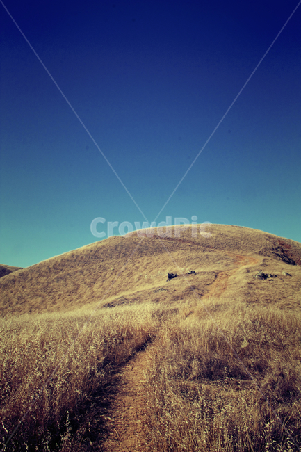 가을,도로,미국,usa,시골,자연,풍경,nature,landscape,outdoors,옥외,grassland,목초지,field,들