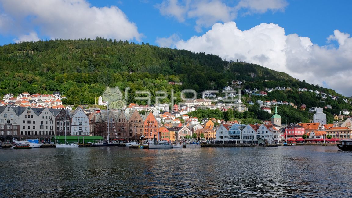 노르웨이,norway,북유럽,북유럽마을,자연,nature,water,물,outdoors,옥외,바닷가마을