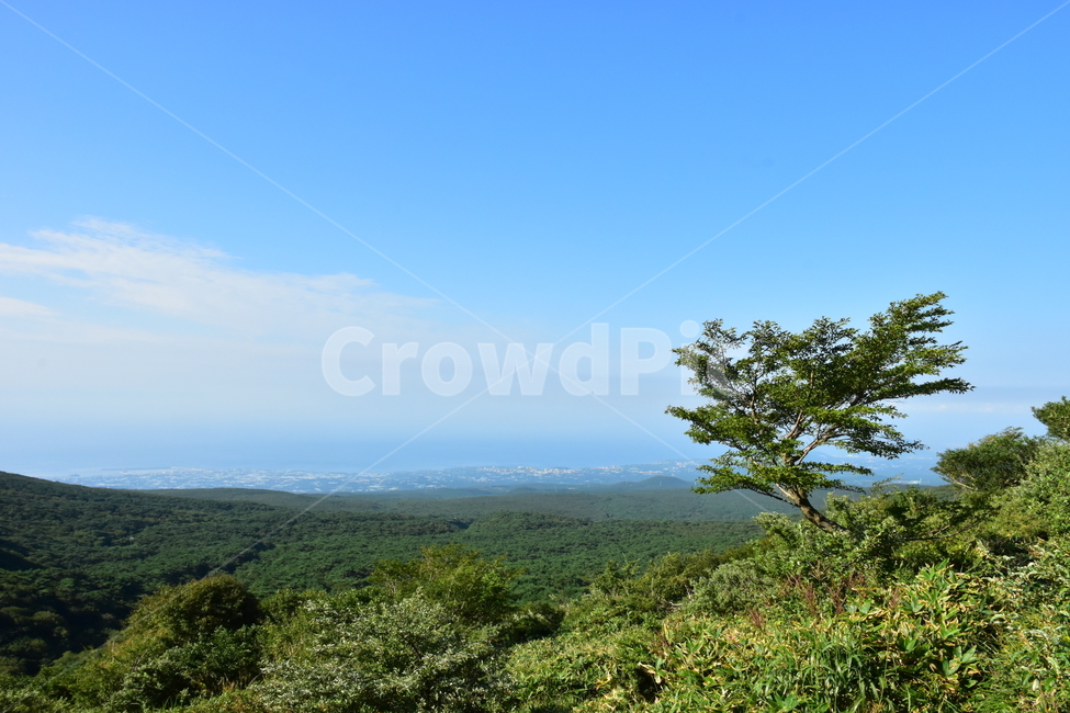 영실,한라산,제주,기암괴석,절경,자연,풍경,힐링,여름,계절,탐방,등산,season,nature,landscape,한국자연풍경,한국자연경관,korea,naturelandscape,제주도,jeju,jejuisland,자연,풍경,nature,landscape,outdoors,옥외,plant,식물,vegetation,초목
