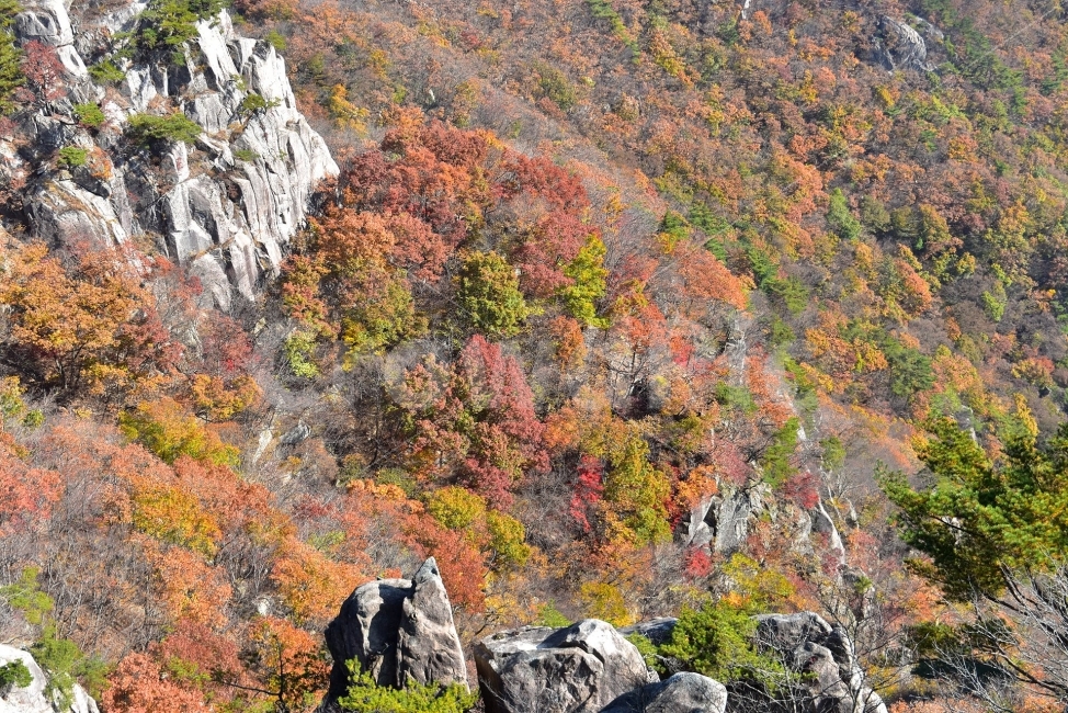 대둔산,가을,풍경,단풍,탐방,도립공원,빨간단풍,파란하늘,가을색,오색,울긋불긋,알록달록,그림같은,칼라풀,뷰티플,아름다운,힐링,감성,자연,정취,산세,명산,100대명산,nature,산,등산,트레킹,풍경사진,비경,경치,가을사진,가을색채,가을의정취,맑음,청명,가을날씨,경관,기암,암봉우리,mountain,금산,완주,논산,낙조대,낙조산장,마천대,케이블카,구름다리,삼선계단,가을,계절,fall,autumn,season,자연,풍경,nature,landscape,한국자연풍경,한국자연경관,korea nature landscape,outdoors,옥외,tree,나무,plant,식물