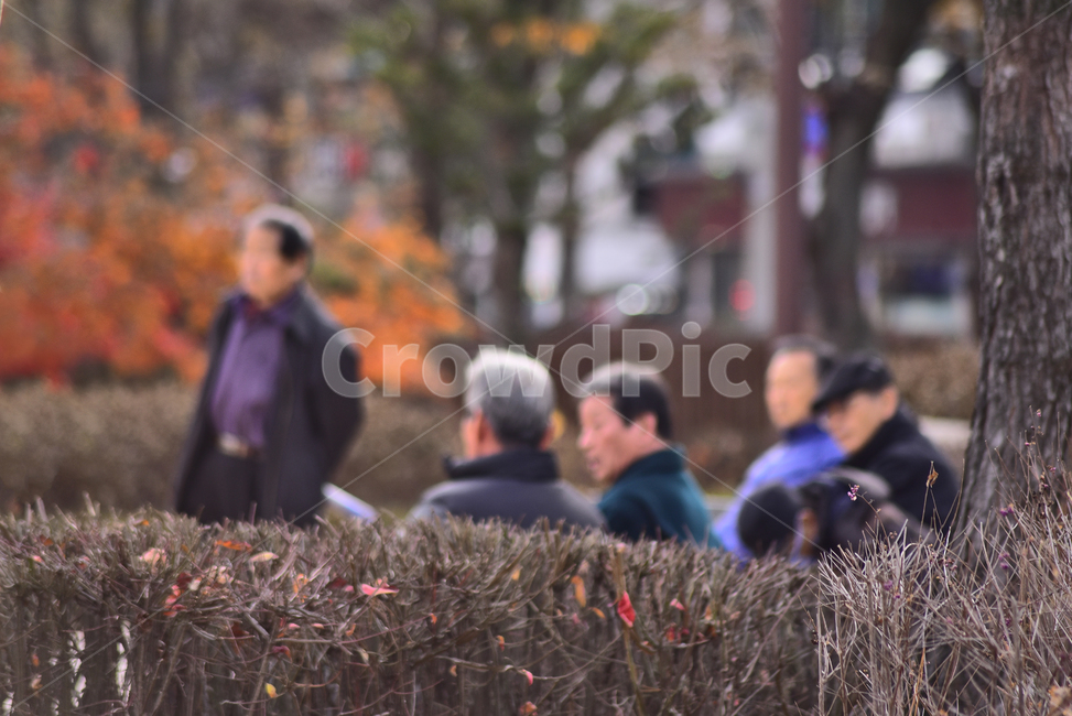 노인,노인네,외로움,고독,쓸쓸함,소외,장년,노년,silver,노인문제,고령화사회,공원,파크,야외,옥외,outdoor,초고령사회,배경,바탕,백그라운드,사회문제,실버세대,무료함,사람,인물,인간,human,person,노인,어르신,old man, senior citizen