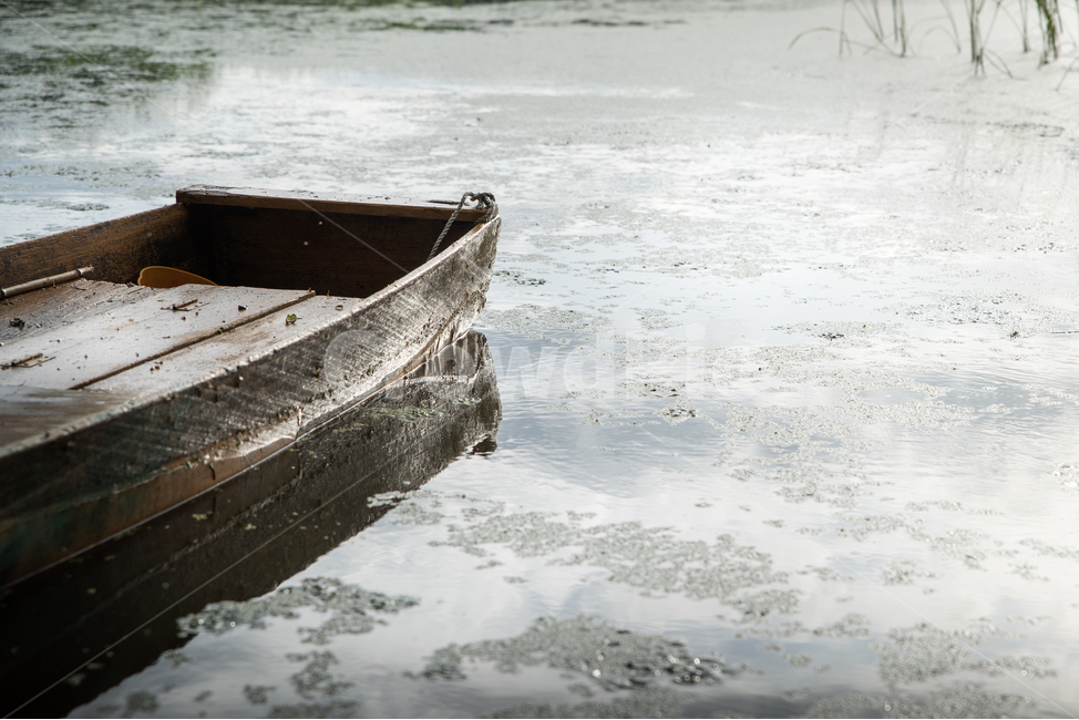 배,쪽배,반영,습지,환경,자연,호수,ship,boat,reflection,lake,자연,풍경,nature,landscape,watercraft,선박,vehicle,차량,transportation,교통