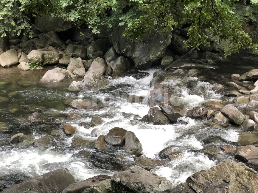 폭포,제주도,하천,계곡,물,자연,water