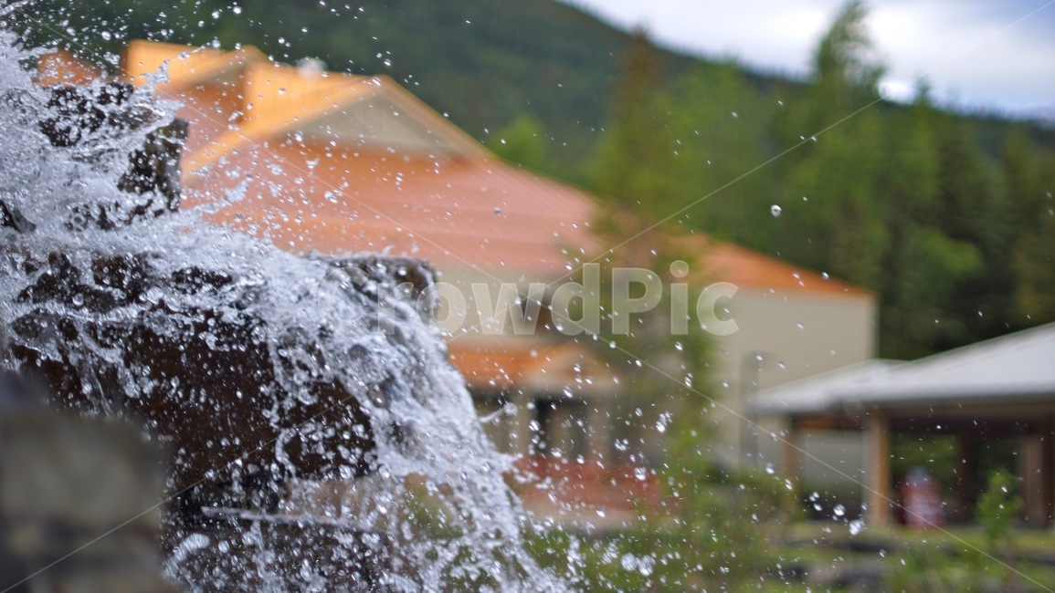 폭포,waterfall,water,cascade,garden,여름,계절,summer,season