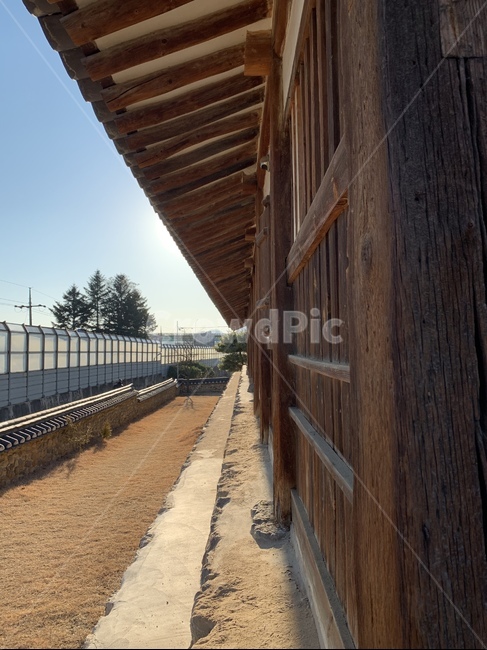 한옥,나무,처마,hanok,tree,황토