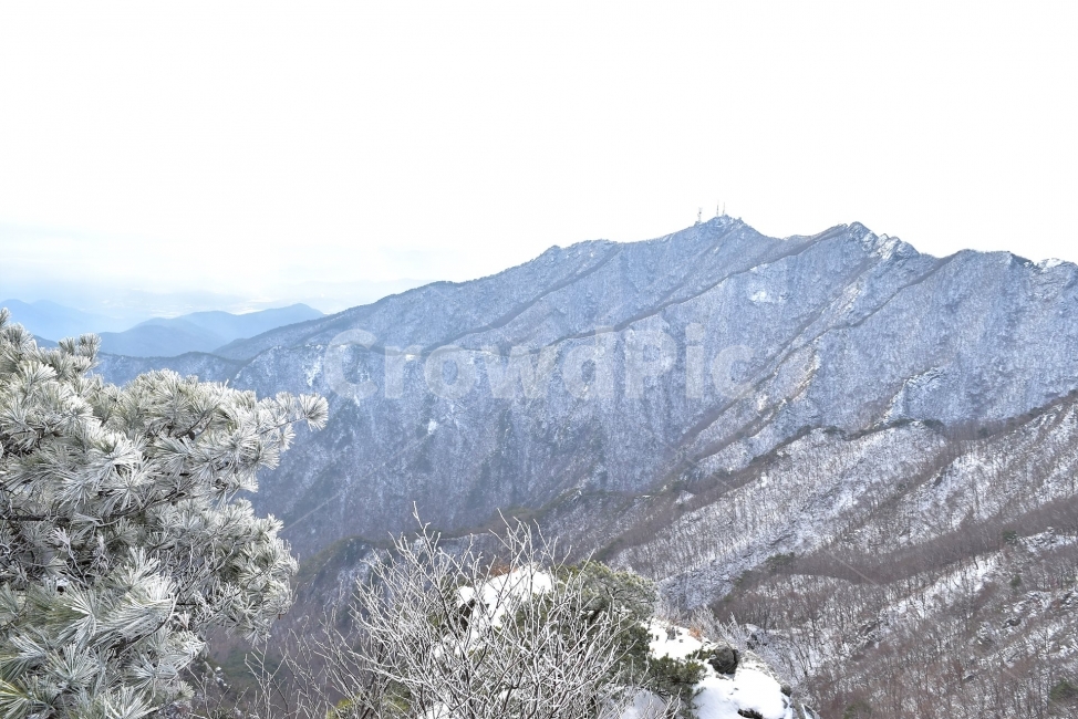 계룡산,국립공원,겨울,풍경,설경,산행,Korea,Nationa,Park,눈풍경,눈,자연,스포츠,등산,nature,snow,느낌,아름다운,신비로운,경이로운,다큐,필,힐링,명산landscape,winter,season,자연성릉,암릉,능선,비경,겨울,계절,winter,season,자연,풍경,nature,landscape,한국자연풍경,한국자연경관,korea nature landscape,outdoors,옥외,mountain,산,mountain range,산맥
