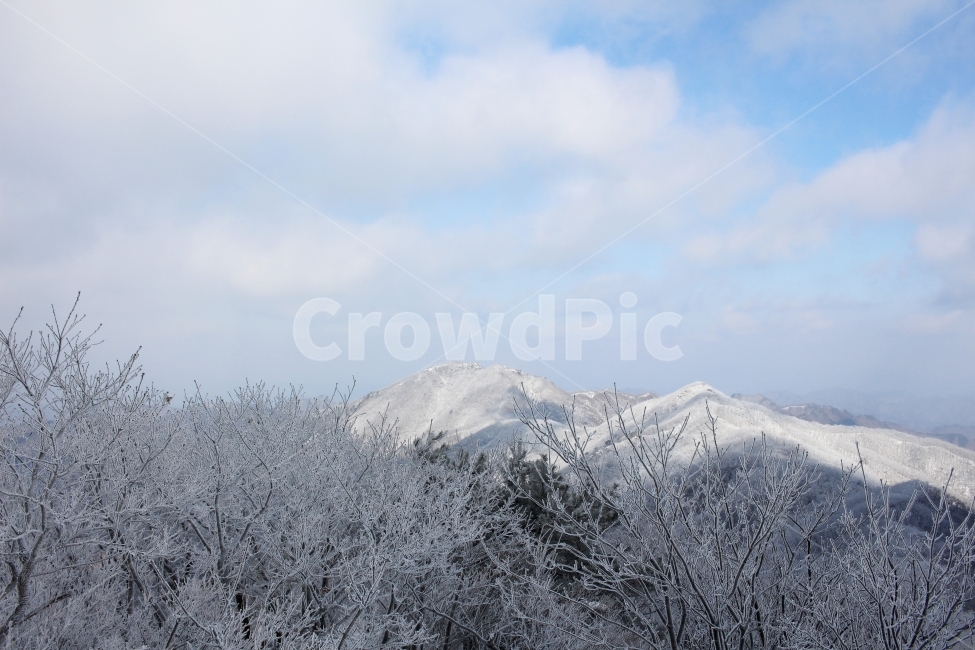 풍경,눈,눈꽃,자연,나무,겨울,나뭇가지,계절,winter,season,식물,plants,nature,함박눈,설경,겨울풍경,landscape,산,눈내리는날,한국,눈풍경,자연풍경,느낌,12월,등산,sensible,feeling,emotion,여행,하늘,산책,겨울산,들판,겨울,계절,winter,season,자연,풍경,nature,landscape,한국자연풍경,한국자연경관,korea nature landscape,outdoors,옥외,ice,얼음,tree,plant