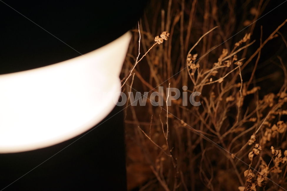 밤,빛,조명,조명등,갈색