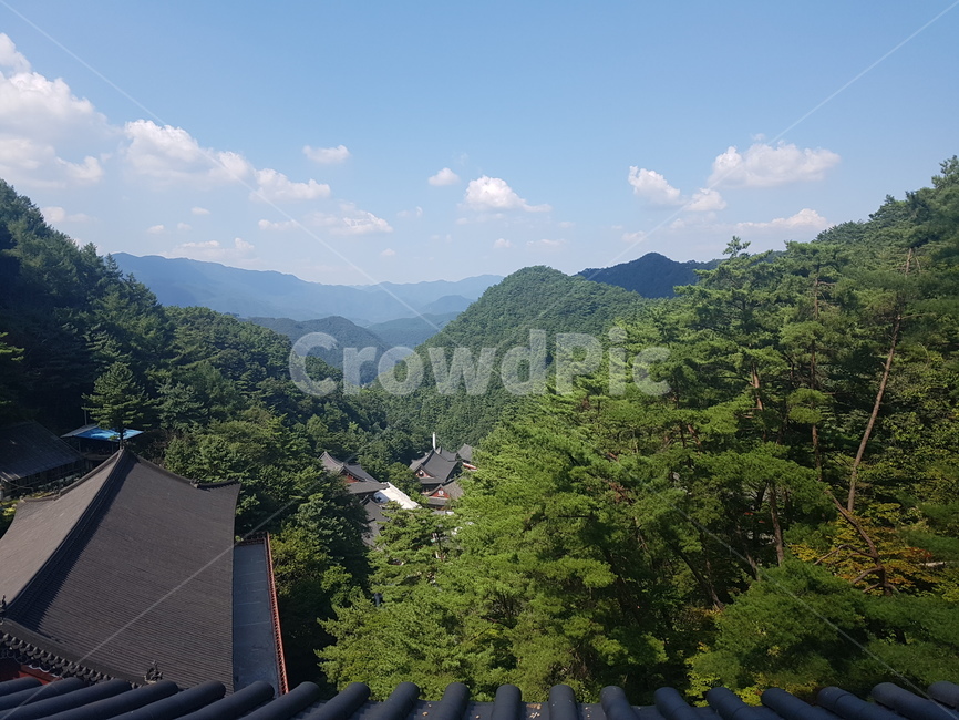하늘,산,풍경,자연,기와,나무,탁트임,힐링,한국전통,한국문화,korean traditional,korean culture,건축물,건물외관,exterior,building,structure,architecture,construction