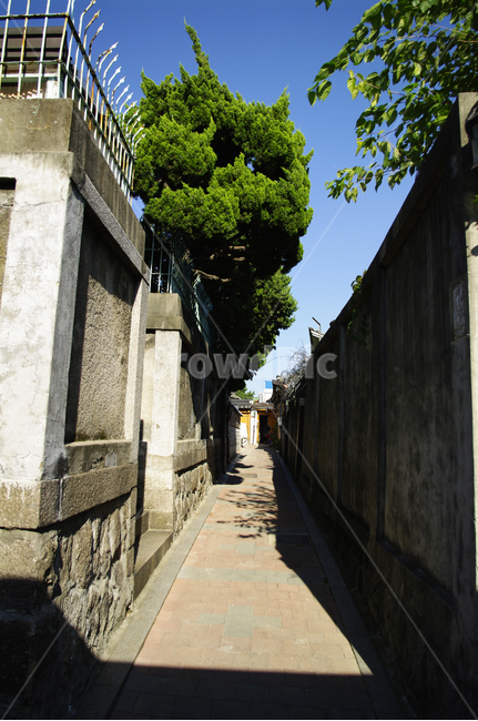 골목길,주택가,길,담장,하늘,나무,walkway,보도,path,통로,flagstone,판석